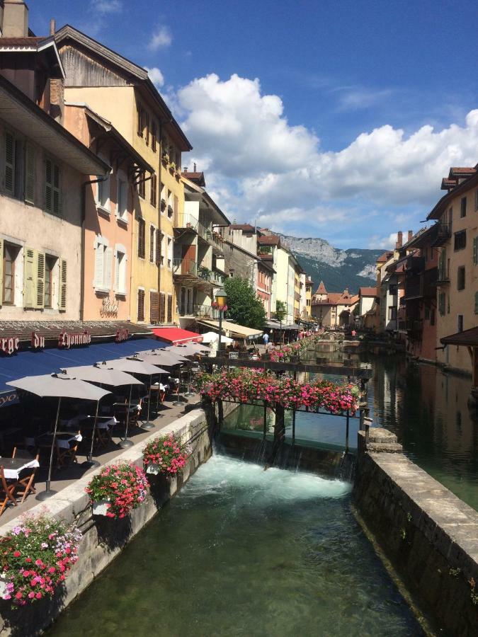 La Baie Des Voiles ,Vue Lac D'Annecy ,Plage Privee ดูแอ็งต์ ภายนอก รูปภาพ